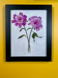 Pink Peonies Print