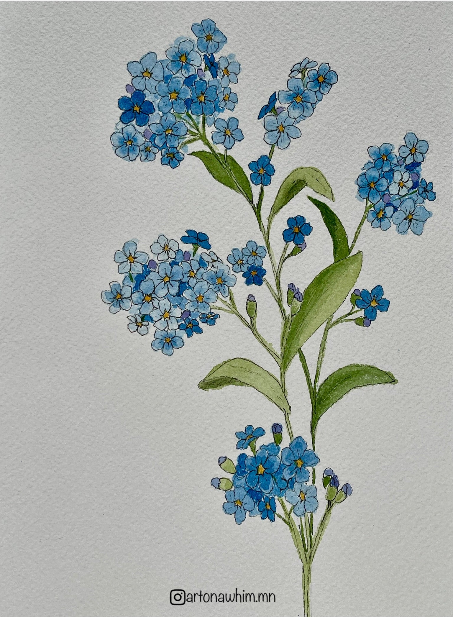 Forget Me Nots Flower Print