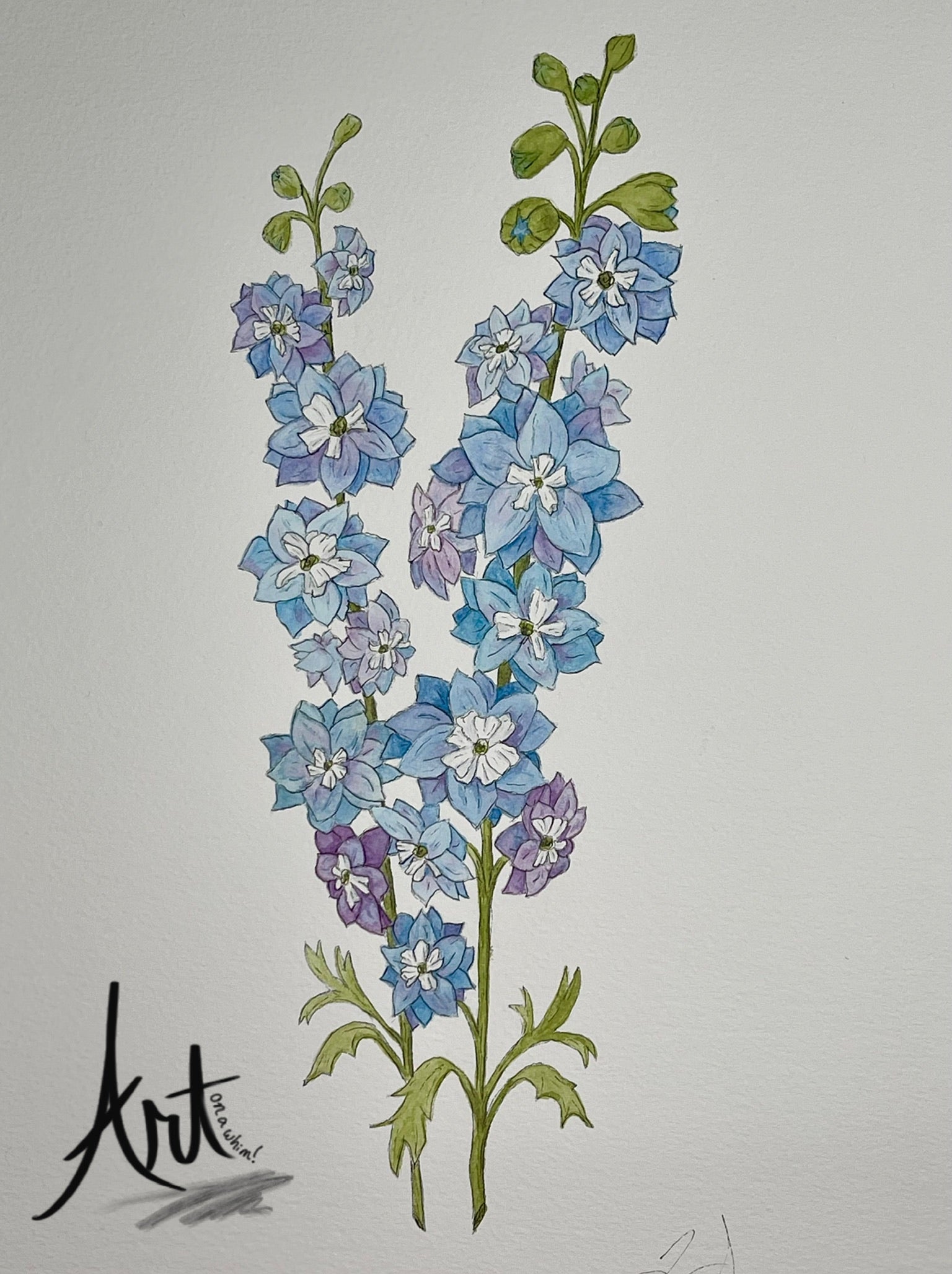 Delphinium Blank Greeting Card