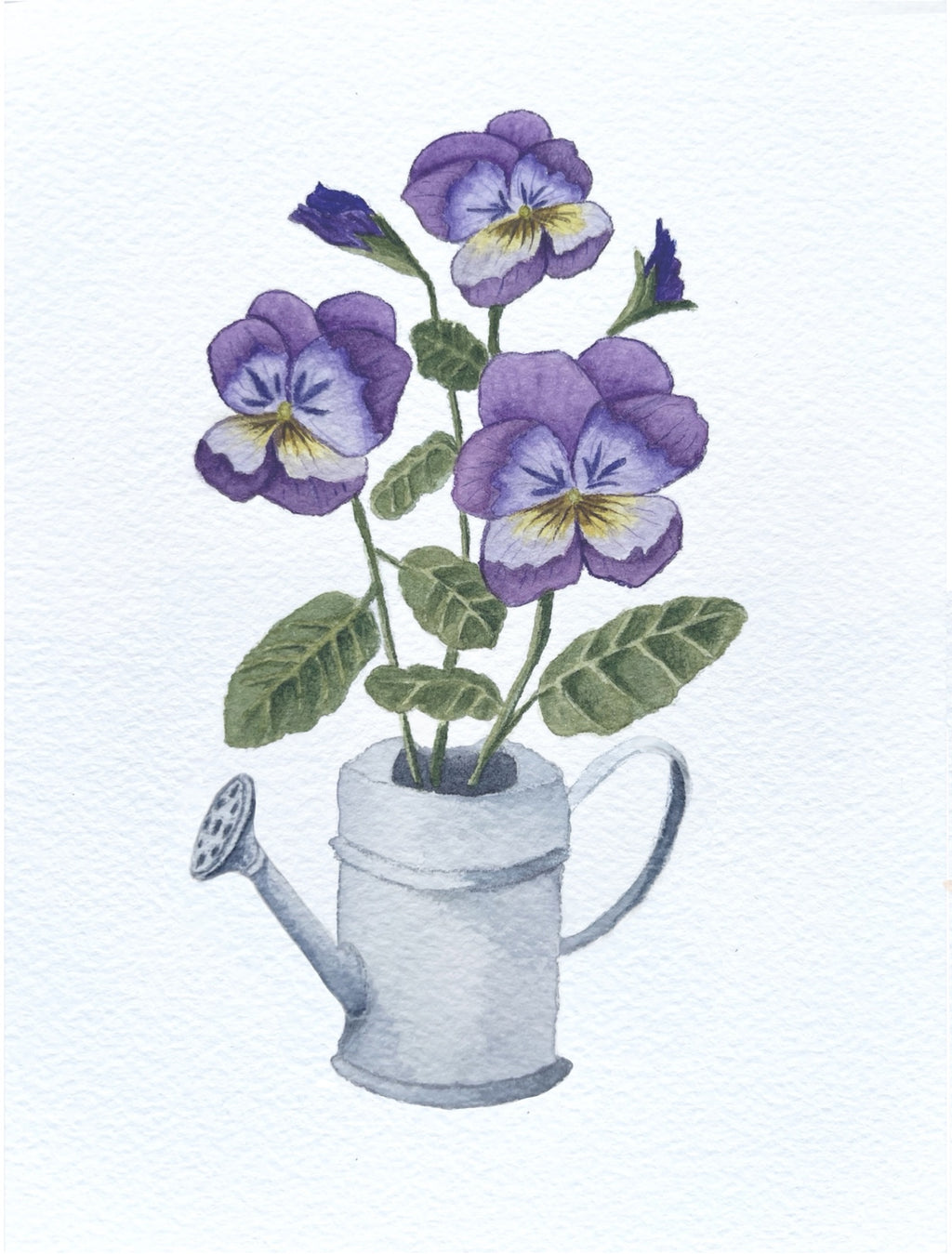 Pansies in Watering Can Blank Greeting Card