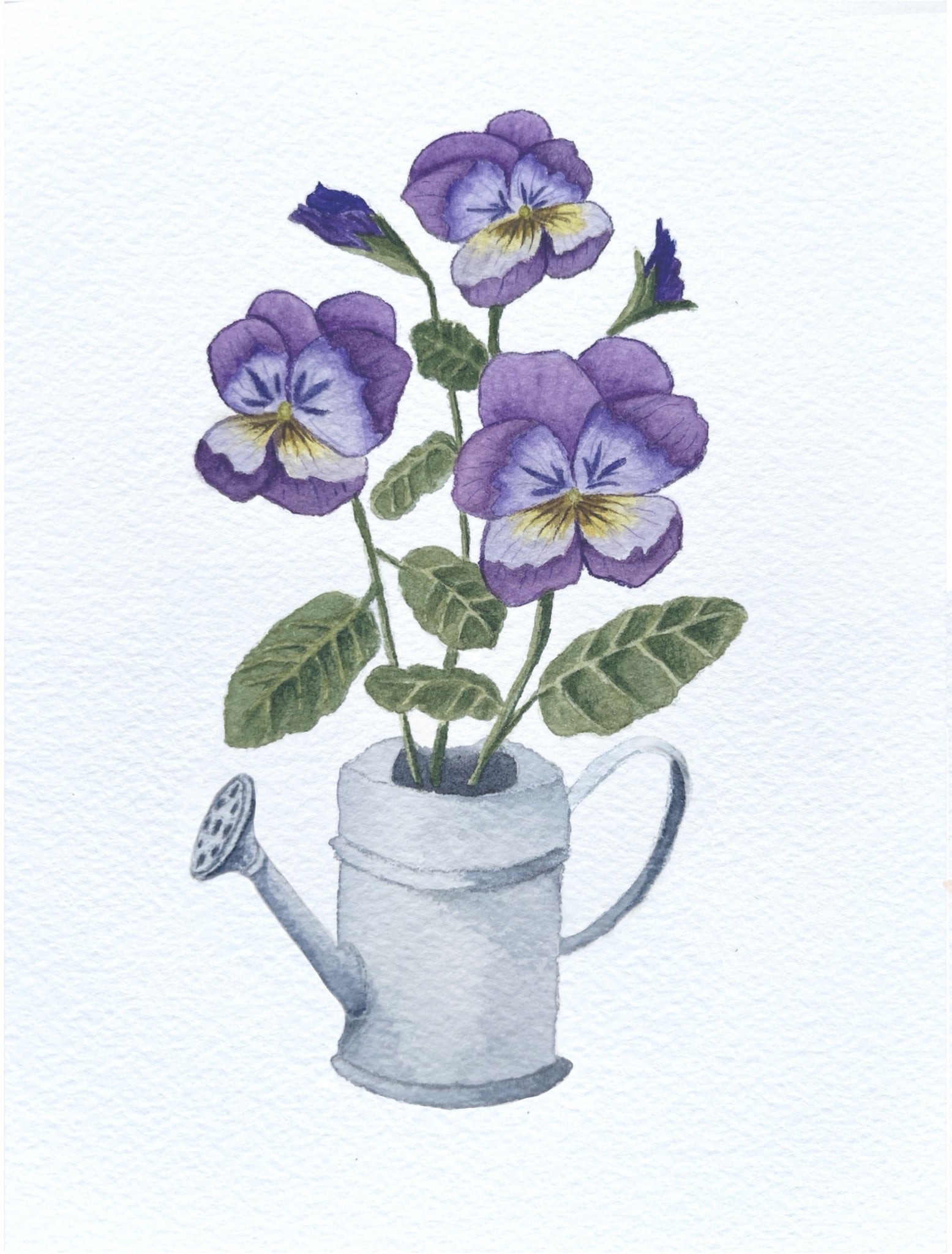 Pansies in Watering Can Blank Greeting Card