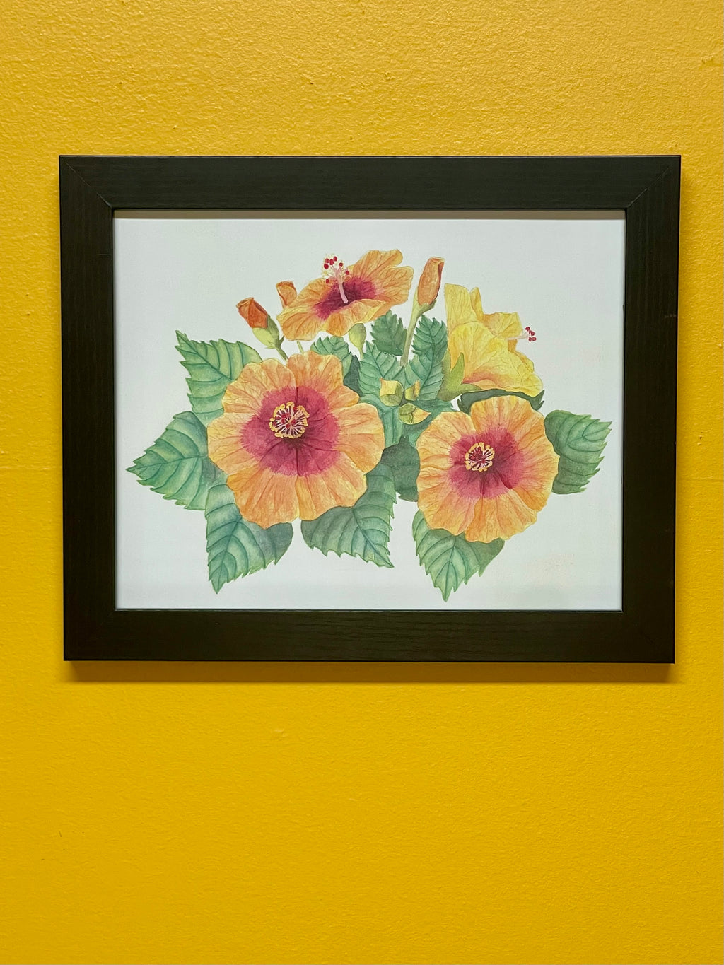 Hibiscus Print