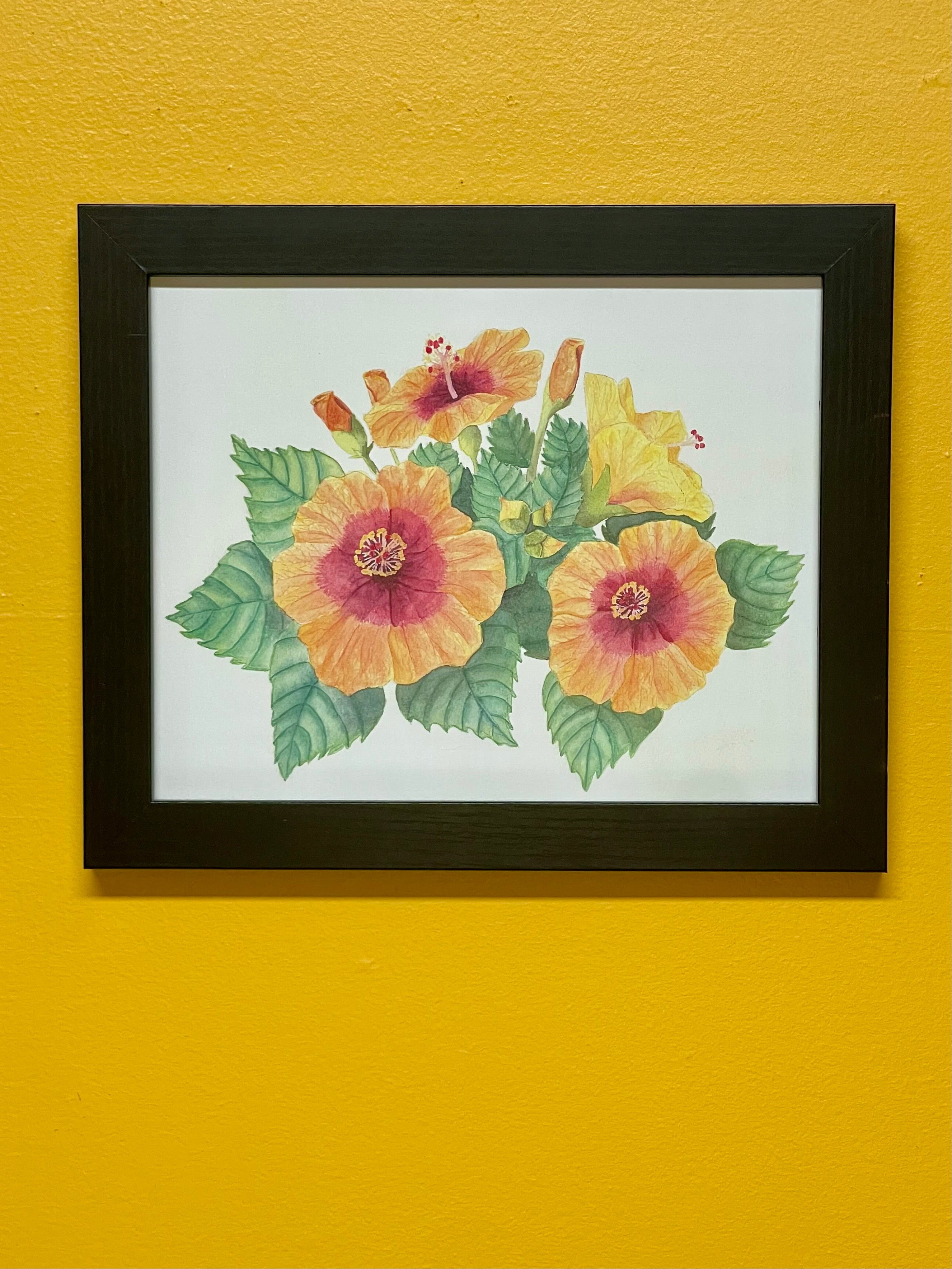 Hibiscus Print