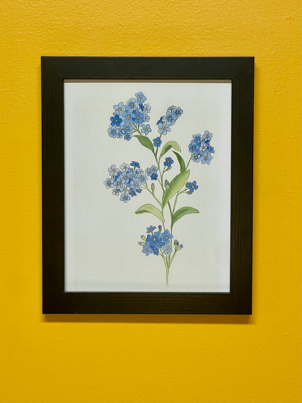 Forget Me Nots Flower Print
