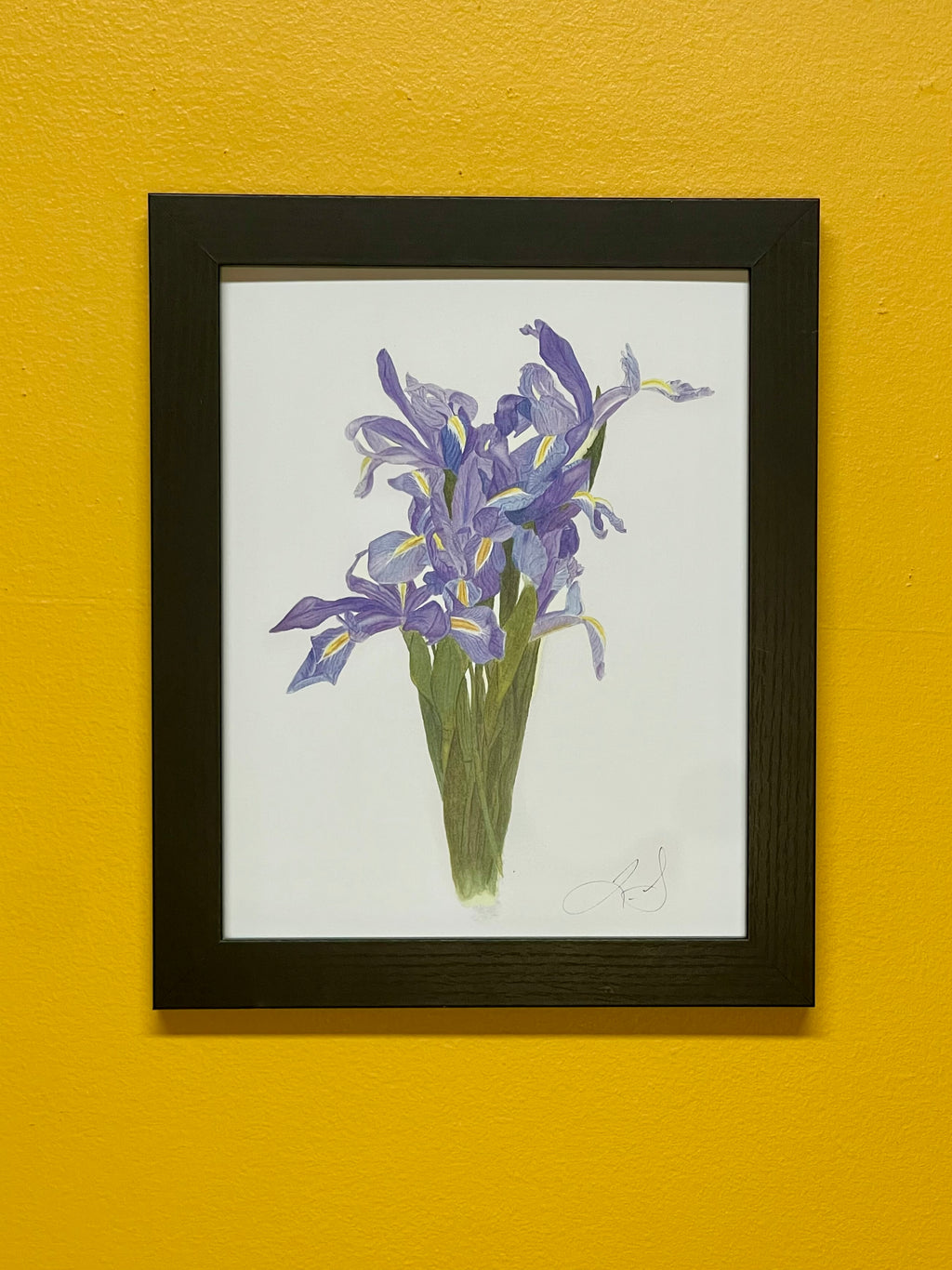 Blue Iris Bouquet Print