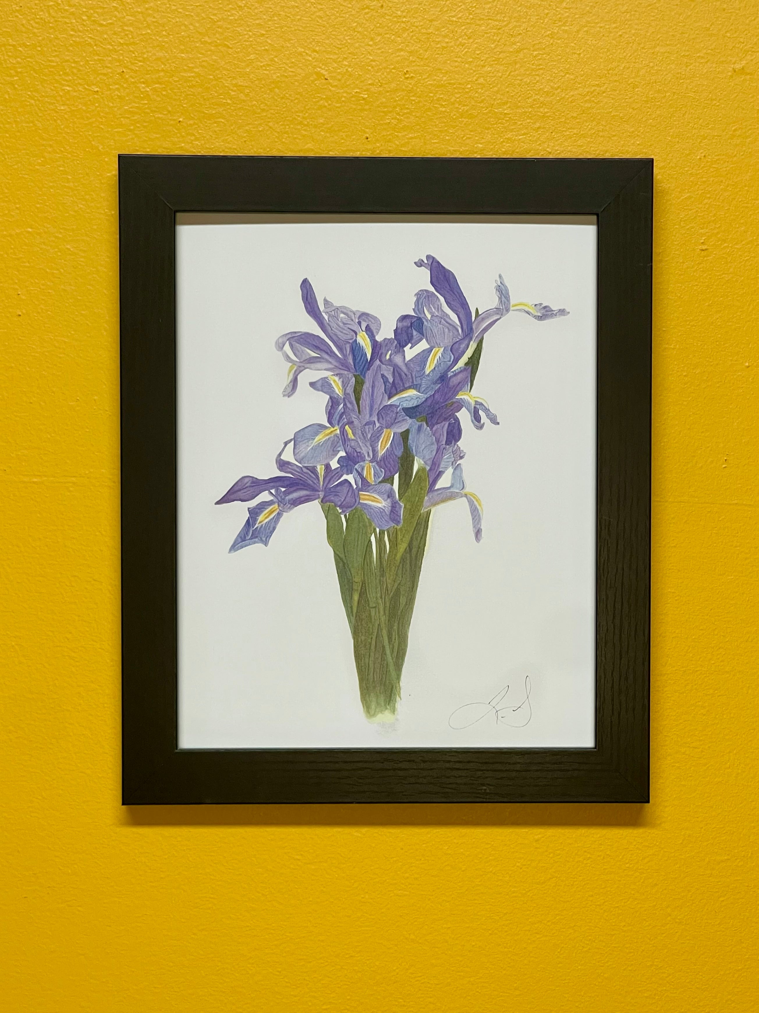 Blue Iris Bouquet Print