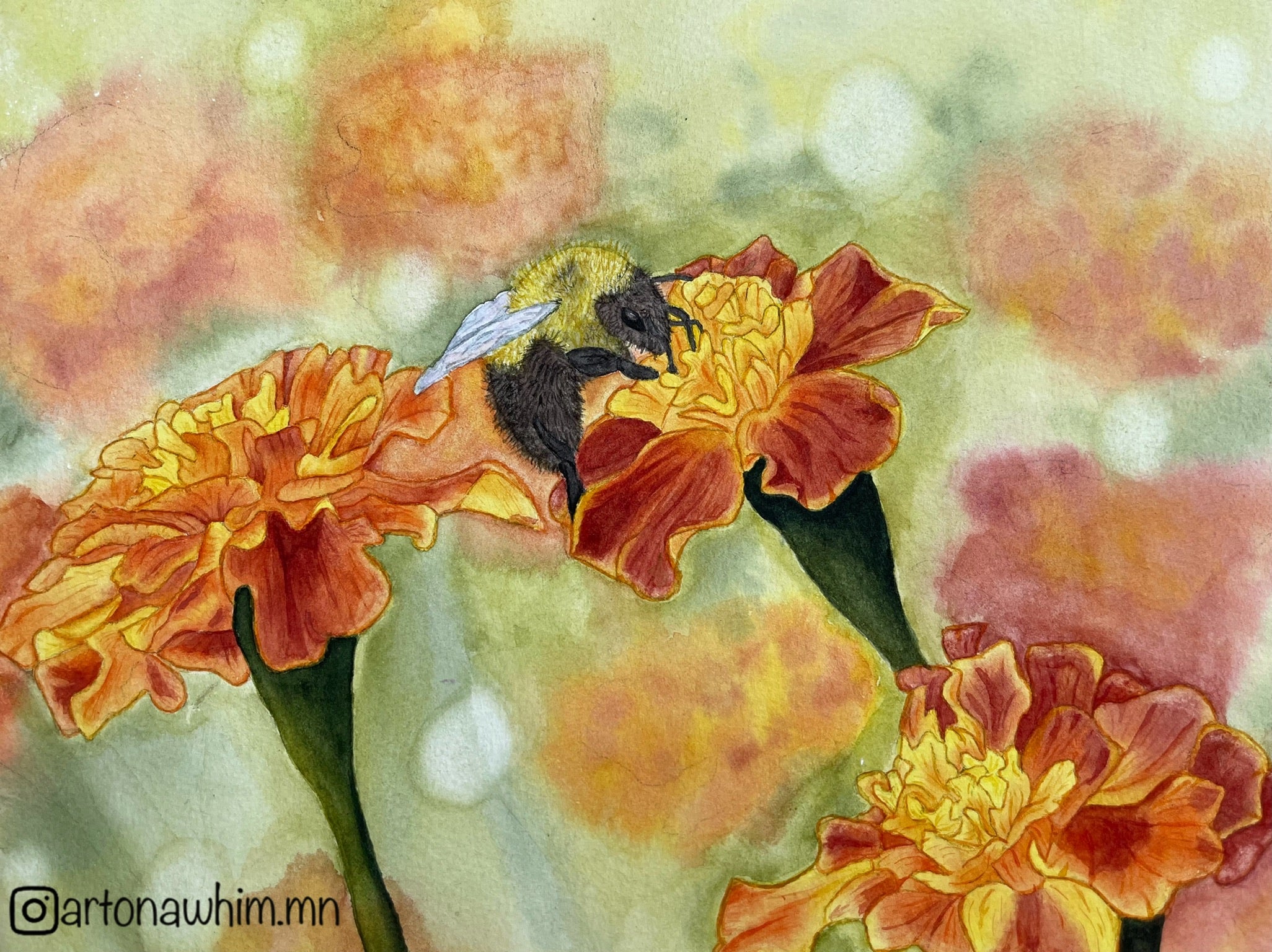 Harvesting Marigolds Print