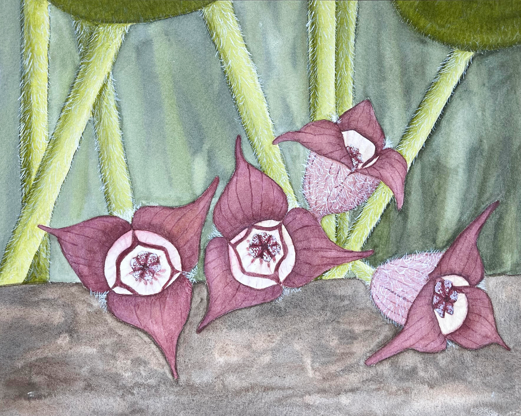 Ginger Flowers Blank Greeting Card