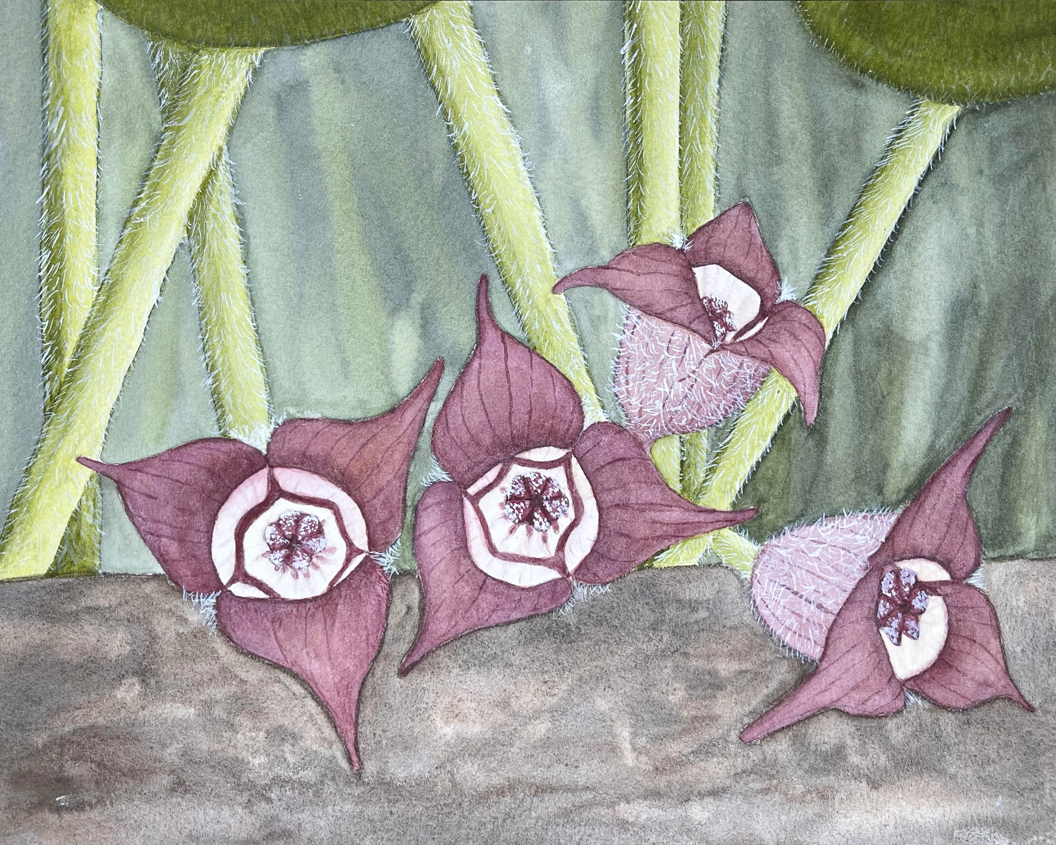 Ginger Flowers Blank Greeting Card