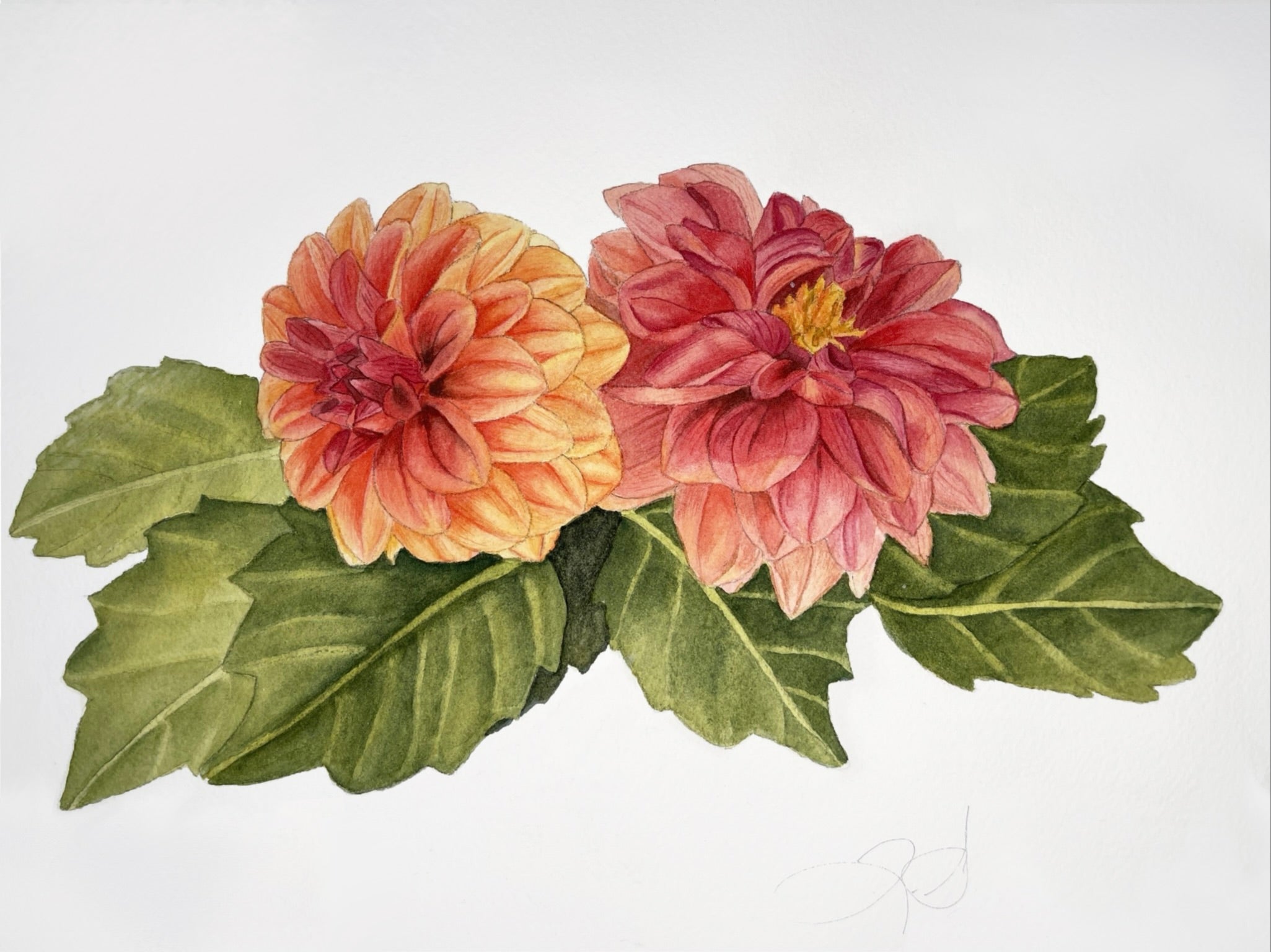 Red & Orange Dahlias Blank Greeting Card