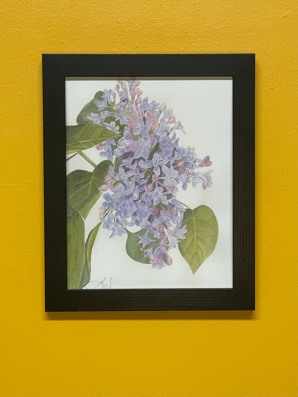 Lilacs Print