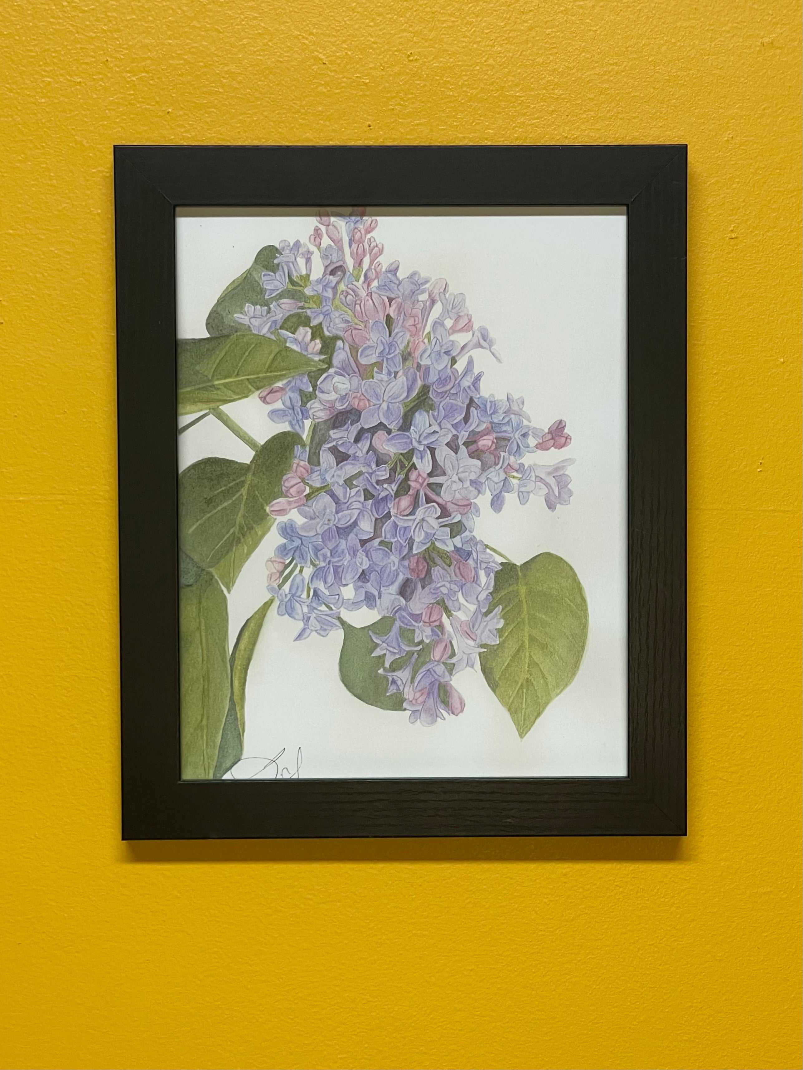 Lilacs Print