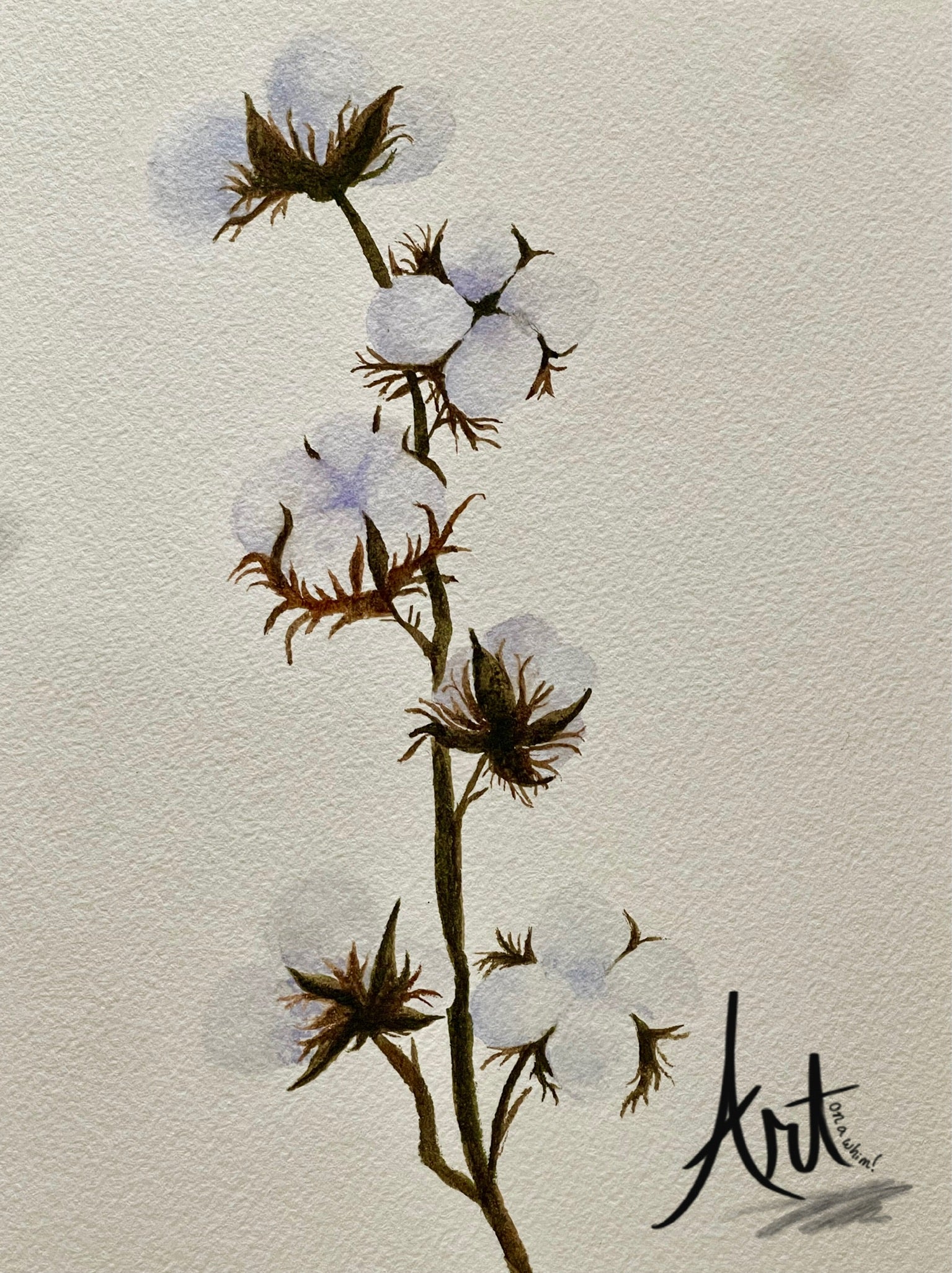 Cotton Stem Blank Greeting Card