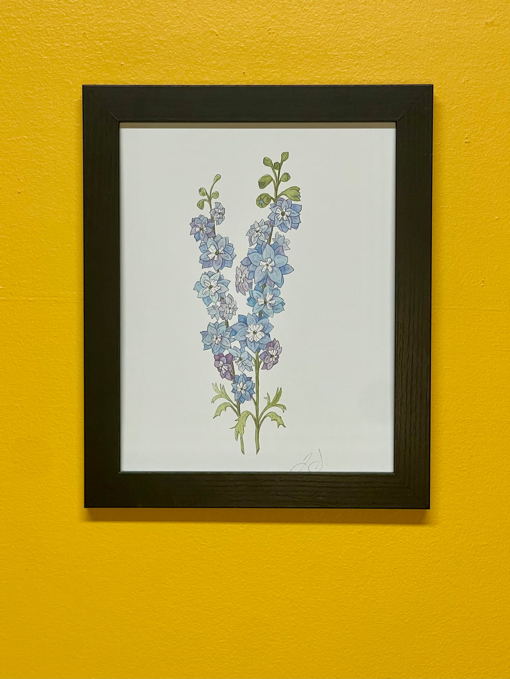 Delphiniums Print