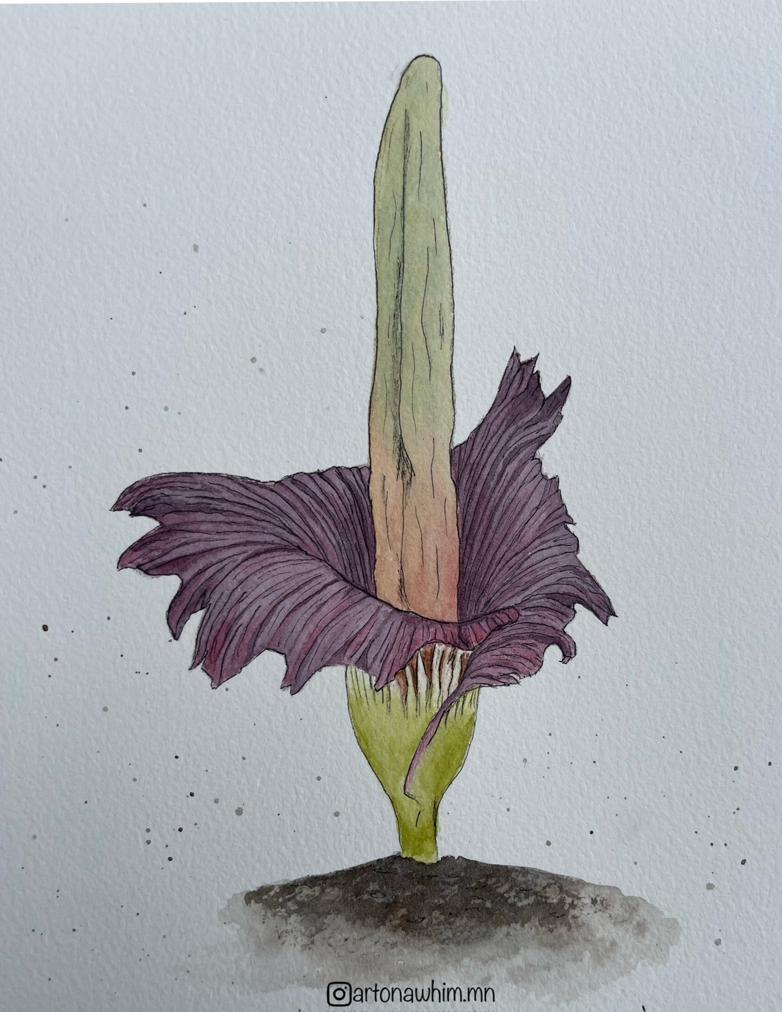 Corpse Flower Blank Greeting Card