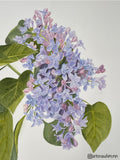 Lilacs Print