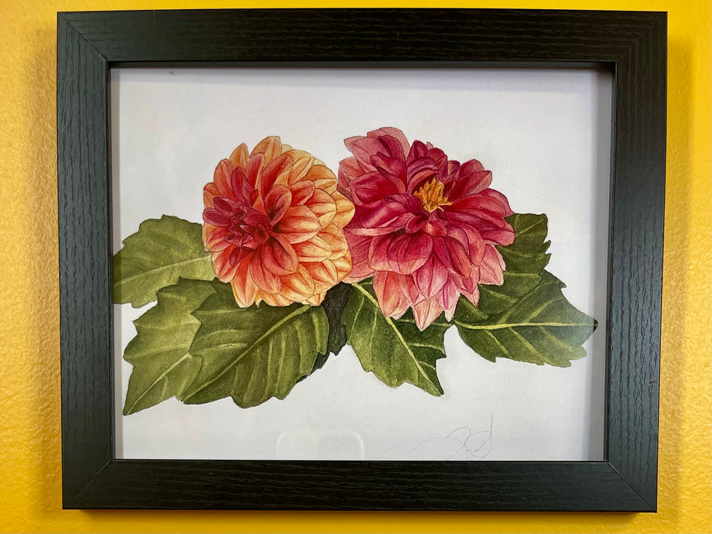 Red & Orange Dahlias Print