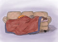 3” Vinyl Sticker: Cat Nap